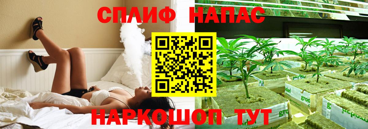 Конопля гибрид  Конопля Amnesia  Вход с VPN  Бошки Шишки ГИДРОПОН  Шахты  Конопля LSD WEED 